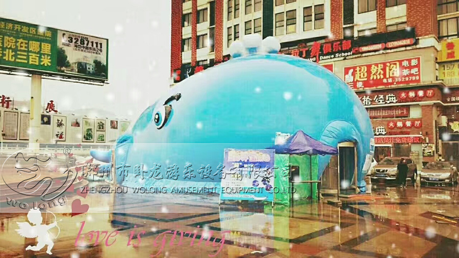鲸鱼岛乐园
