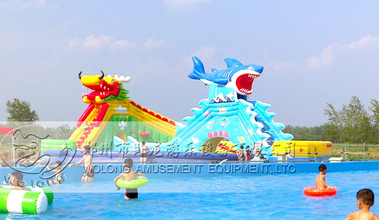 龙鲨嬉水
